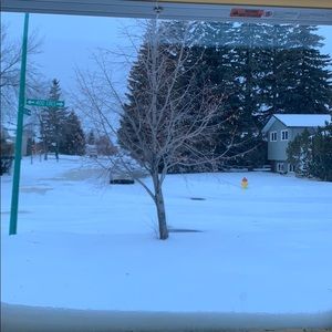 Meet your Posher, Noel